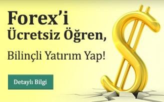 Forex ogren