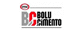 BOLU ÇİMENTO Hisse Senedi