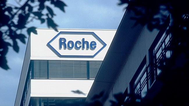 Roche Holding InterMune'u satın alıyor | Ekonomi Haberleri