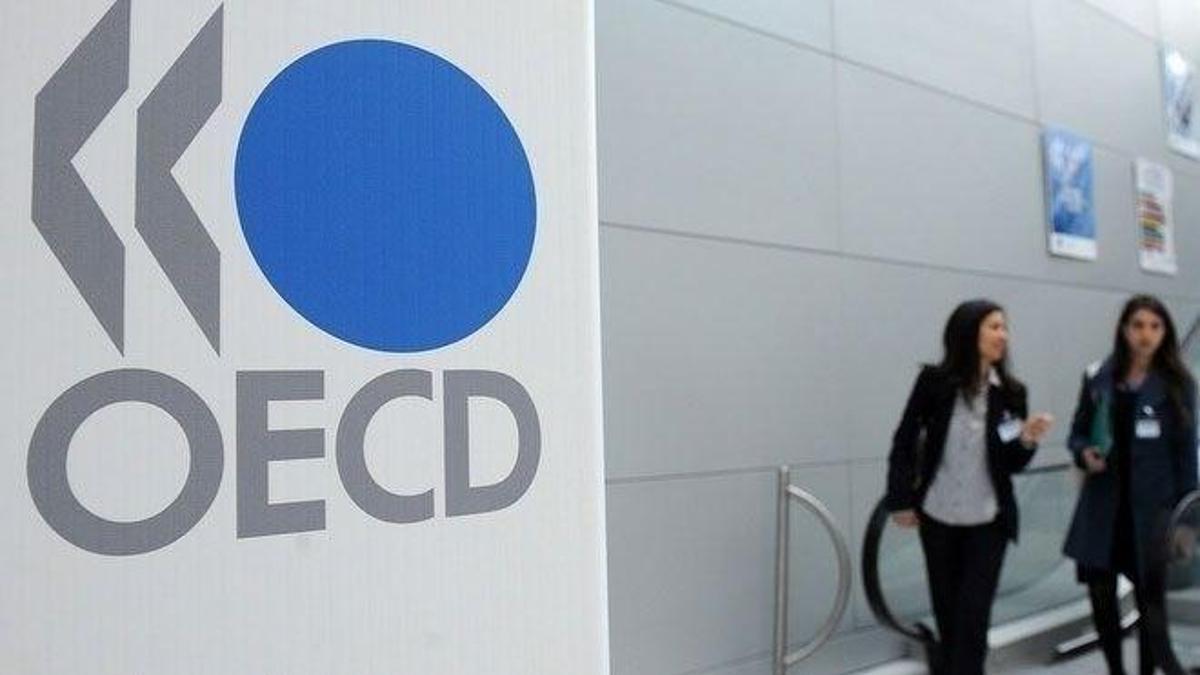 OECD Türkiye'nin büyüme tahminini yükseltti | Ekonomi Haberleri