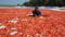 Kuru domates ihracatında hedef 100 milyon dolar 
