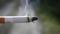 BAE şirketi Mısır tütün devinin yüzde 30 hissesini satın aldı
