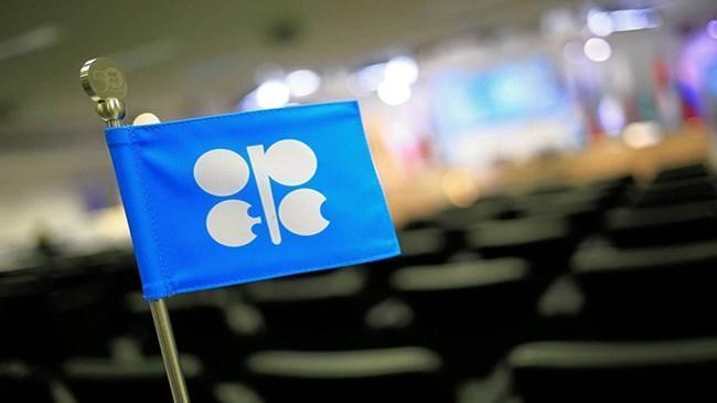 OPEC'in ham petrol üretimi geriledi | Ekonomi Haberleri