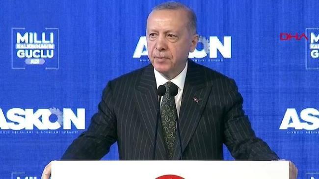Cumhurbaşkanı Erdoğan: Dalgalanma kontrol altında | Ekonomi Haberleri