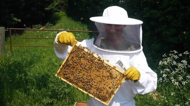 Arı kolonilerini kurtaran karar, bal verimini de artıracak | Sektör Haberleri