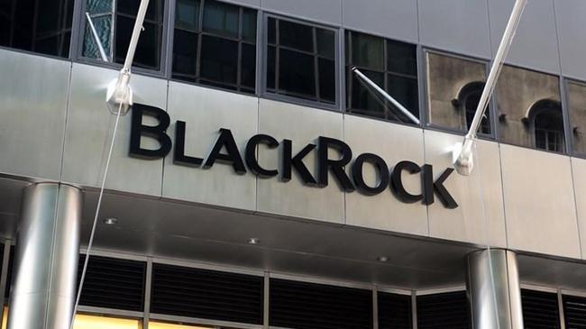 BlackRock'tan dev satın alma  | Ekonomi Haberleri