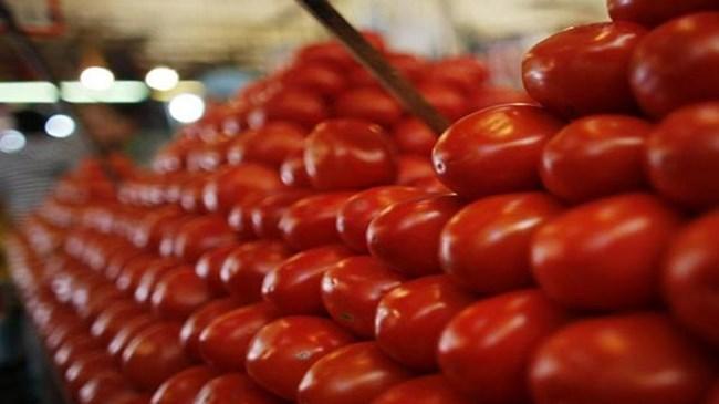 Rusya'dan 'domates' açıklaması | Ekonomi Haberleri