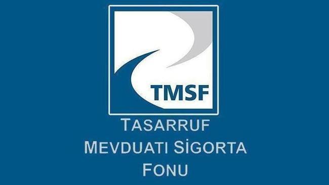 TMSF tasarruf finansman şirketlerinin tasfiyesinde yol haritasını belirledi | Genel Haberler