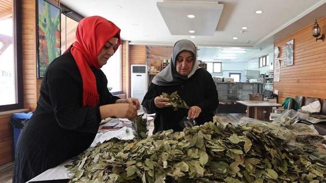 Atatürk Orman Çiftliği'nden kadın kooperatifleri ve üretici birliklerine destek | Sektör Haberleri