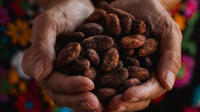 Kakao fiyatlarında dev artış | Emtia Haberleri