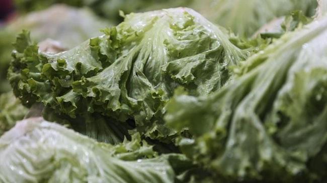 Eylülde en çok kıvırcık salata fiyatı arttı | Ekonomi Haberleri