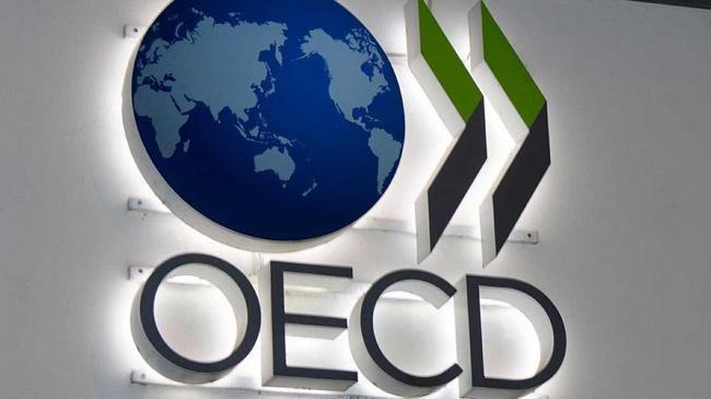 OECD Türkiye için büyüme tahminini yükseltti | Ekonomi Haberleri