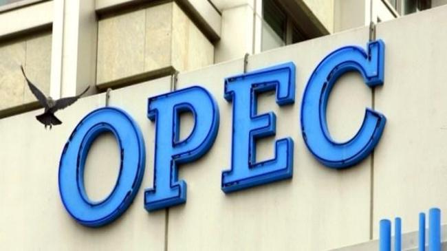OPEC'in petrol kesintisi kararında uyum oranı arttı  | Emtia Haberleri