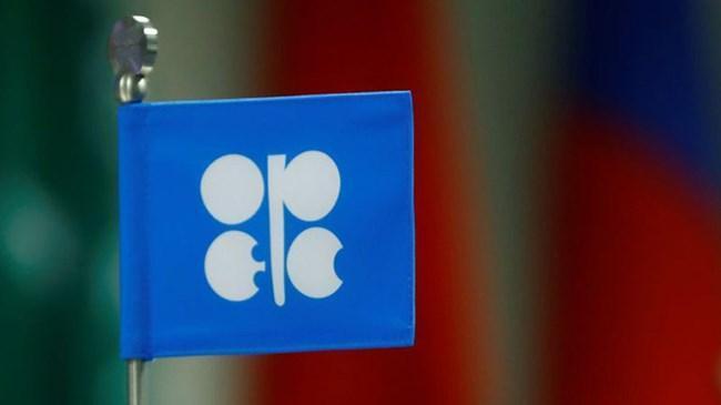 OPEC'ten 'petrol üretimi kısıntısı' açıklaması | Ekonomi Haberleri