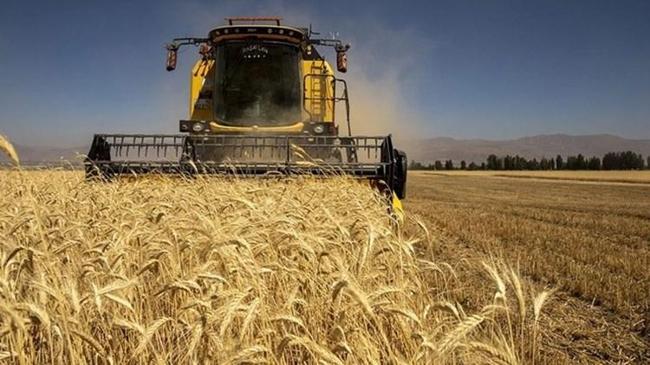 Tarım-ÜFE Mayıs’ta yıllık yüzde 61,24 arttı | Ekonomi Haberleri