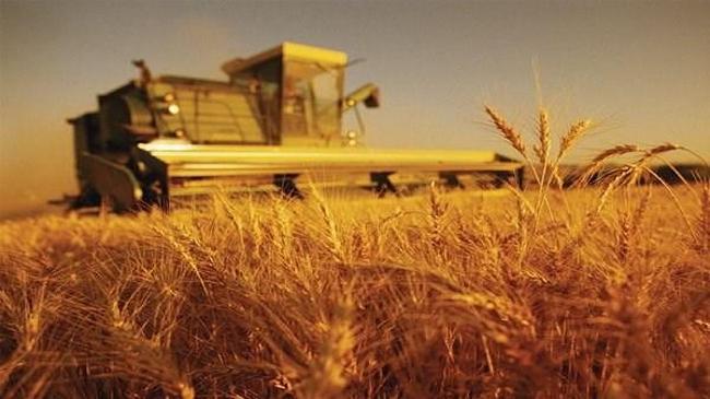 Tarım ÜFE eylülde arttı | Ekonomi Haberleri