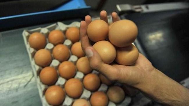 Yumurta fiyatları zamlandı | Ekonomi Haberleri