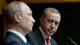 Erdoğan ve Putin, İdlib'deki saldırının Kimyasal Silahların Yasaklanması Örgütü tarafından soruşturulmasını destekledi.